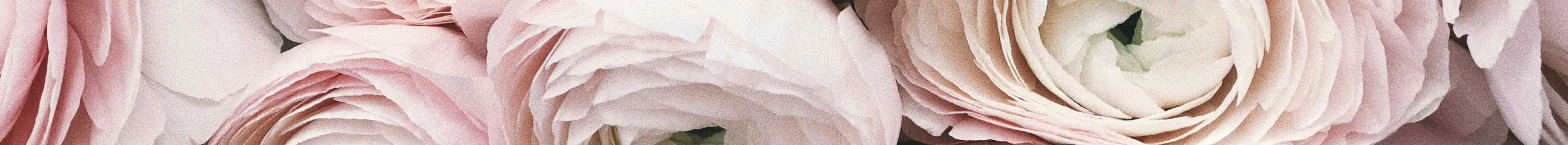 Wedding & Anniversary Header