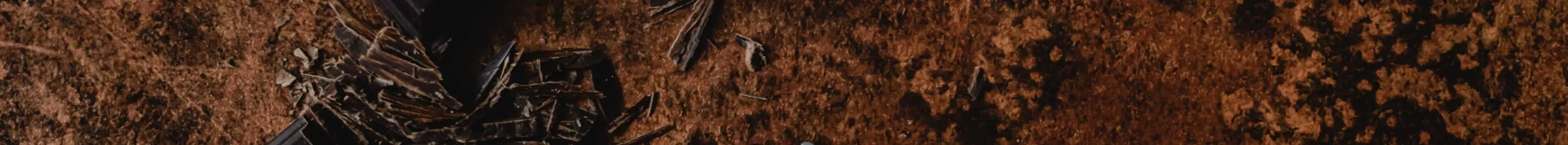 The Cocoa Emporium Header