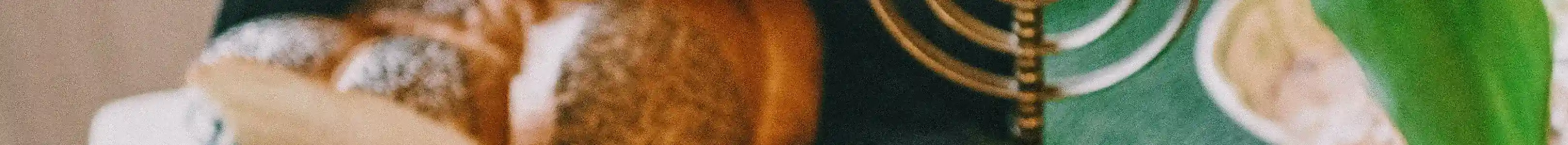 Kosher Header